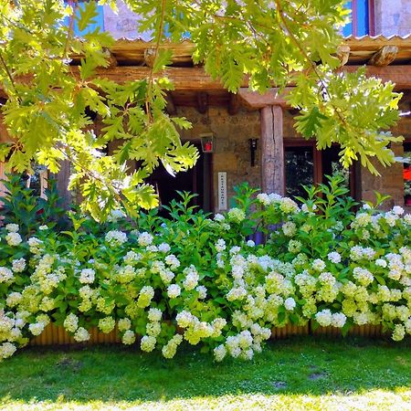 Posada Restaurante Fuenteplateada Collado Hermoso ภายนอก รูปภาพ