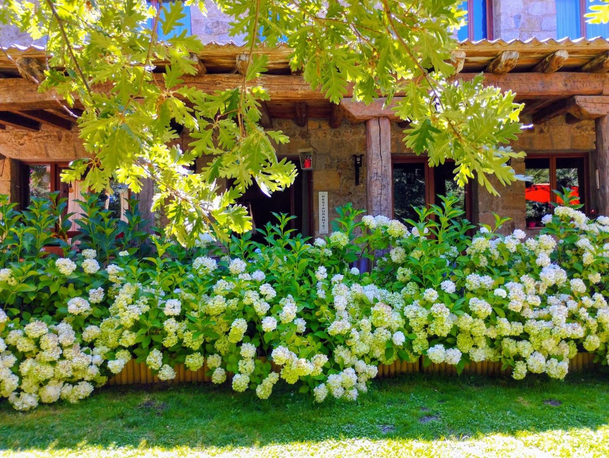 Posada Restaurante Fuenteplateada Collado Hermoso ภายนอก รูปภาพ